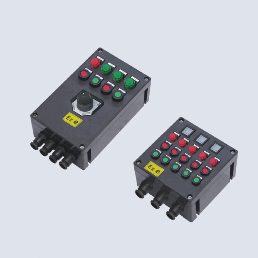 BXK8050-系列防爆防腐控制箱(IIC、 ExtD)